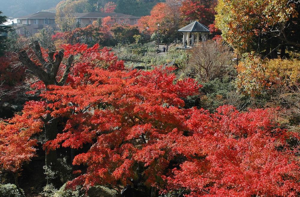 Suikoukan Hakone Luaran gambar